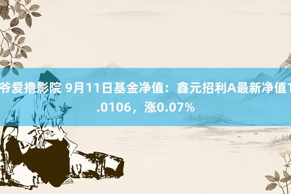 爷爱撸影院 9月11日基金净值：鑫元招利A最新净值1.0106，涨0.07%