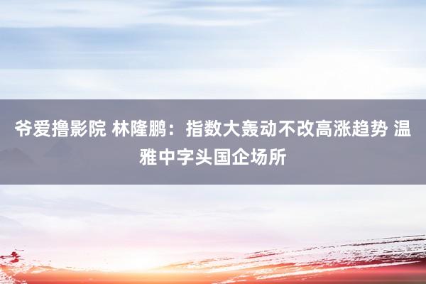 爷爱撸影院 林隆鹏:指数大轰动不改高涨趋势 温雅中字头国企场所