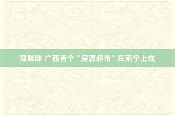 淫咪咪 广西首个“房源超市”在南宁上线
