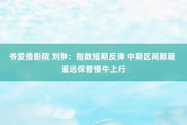 爷爱撸影院 刘翀:指数短期反弹 中期区间颠簸 遥远保管慢牛上行