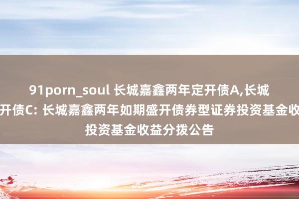 91porn_soul 长城嘉鑫两年定开债A,长城嘉鑫两年定开债C: 长城嘉鑫两年如期盛开债券型证券投资基金收益分拨公告