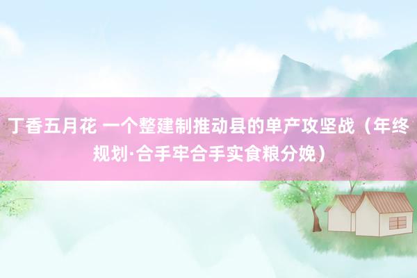 丁香五月花 一个整建制推动县的单产攻坚战（年终规划·合手牢合手实食粮分娩）