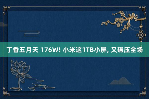 丁香五月天 176W! 小米这1TB小屏， 又碾压全场