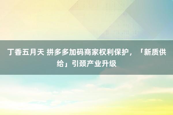 丁香五月天 拼多多加码商家权利保护，「新质供给」引颈产业升级
