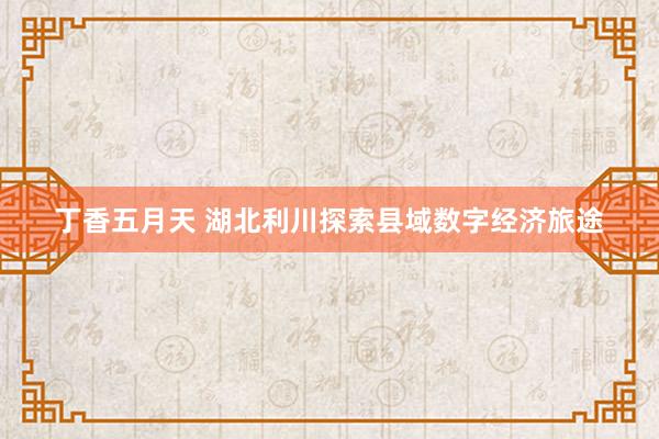 丁香五月天 湖北利川探索县域数字经济旅途