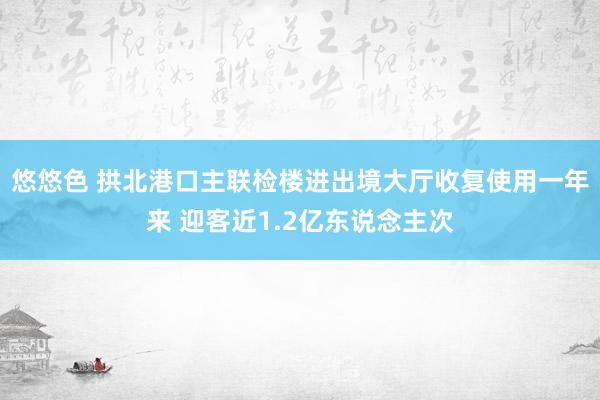 悠悠色 拱北港口主联检楼进出境大厅收复使用一年来 迎客近1.2亿东说念主次