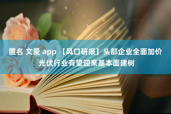 匿名 文爱 app 【风口研报】头部企业全面加价 光伏行业有望迎来基本面建树