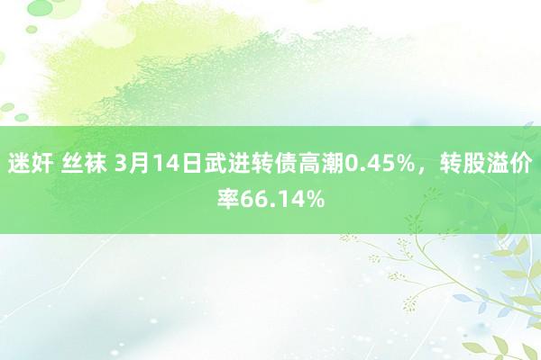 迷奸 丝袜 3月14日武进转债高潮0.45%，转股溢价率66.14%