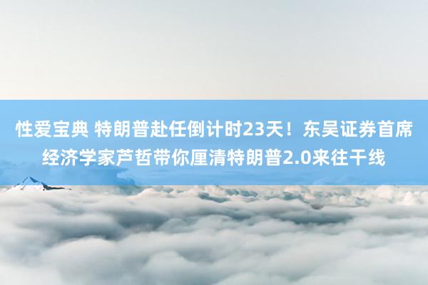 性爱宝典 特朗普赴任倒计时23天！东吴证券首席经济学家芦哲带你厘清特朗普2.0来往干线