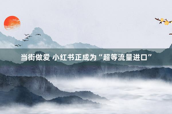 当街做爱 小红书正成为“超等流量进口”