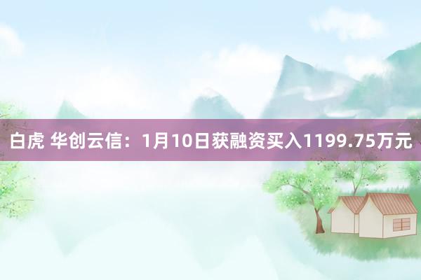 白虎 华创云信：1月10日获融资买入1199.75万元