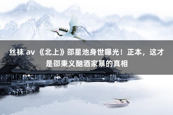 丝袜 av 《北上》邵星池身世曝光！正本，这才是邵秉义酗酒家暴的真相