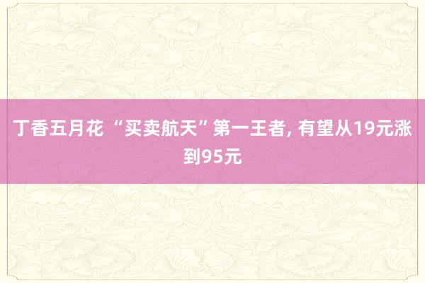 丁香五月花 “买卖航天”第一王者， 有望从19元涨到95元