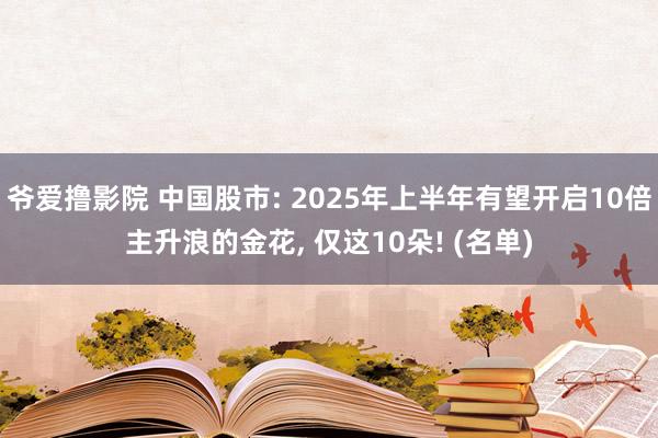 爷爱撸影院 中国股市: 2025年上半年有望开启10倍主升浪的金花， 仅这10朵! (名单)