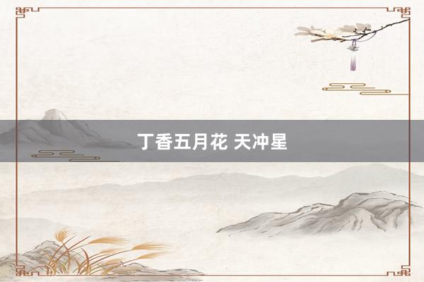 丁香五月花 天冲星