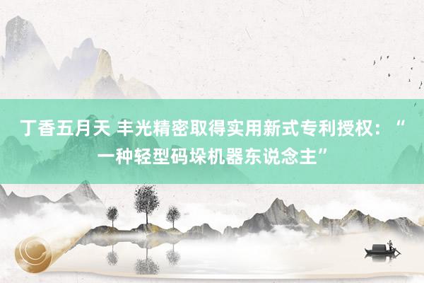 丁香五月天 丰光精密取得实用新式专利授权：“一种轻型码垛机器东说念主”