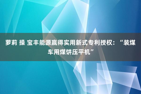 萝莉 操 宝丰能源赢得实用新式专利授权：“装煤车用煤饼压平机”