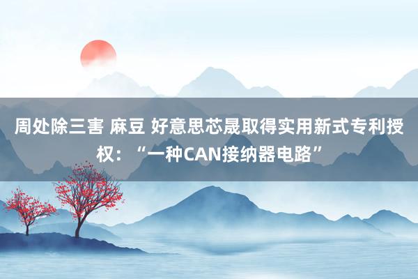 周处除三害 麻豆 好意思芯晟取得实用新式专利授权：“一种CAN接纳器电路”