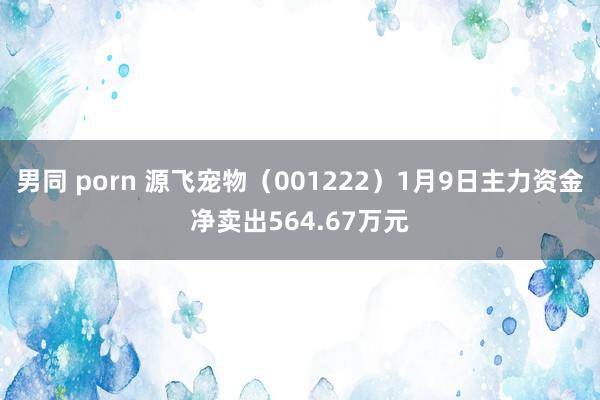 男同 porn 源飞宠物（001222）1月9日主力资金净卖出564.67万元