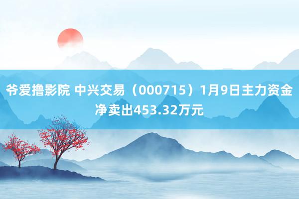 爷爱撸影院 中兴交易（000715）1月9日主力资金净卖出453.32万元