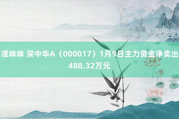 淫咪咪 深中华A（000017）1月9日主力资金净卖出488.32万元
