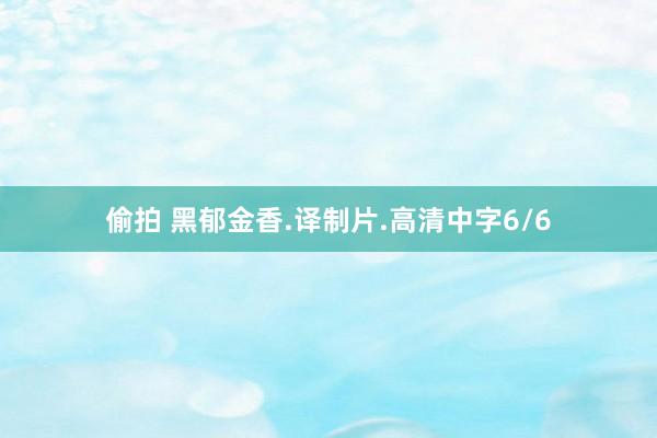 偷拍 黑郁金香.译制片.高清中字6/6