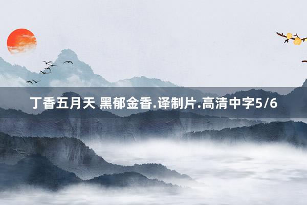 丁香五月天 黑郁金香.译制片.高清中字5/6