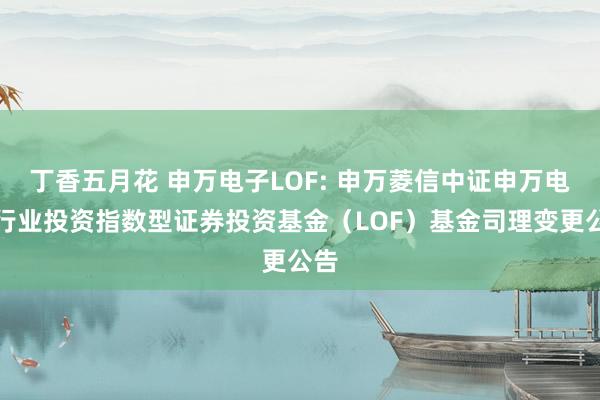 丁香五月花 申万电子LOF: 申万菱信中证申万电子行业投资指数型证券投资基金(LOF)基金司理变更公告