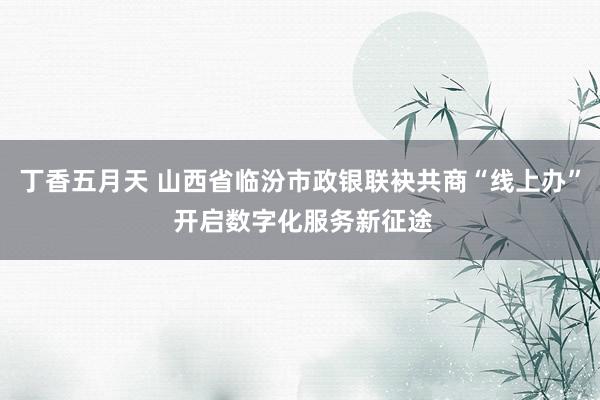 丁香五月天 山西省临汾市政银联袂共商“线上办” 开启数字化服务新征途