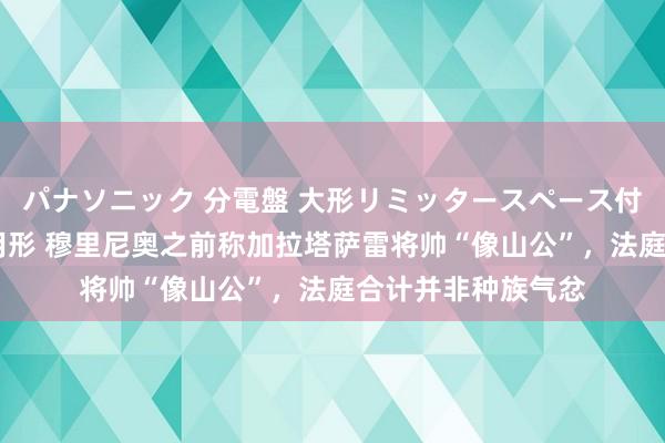 パナソニック 分電盤 大形リミッタースペース付 露出・半埋込両用形 穆里尼奥之前称加拉塔萨雷将帅“像山公”，法庭合计并非种族气忿
