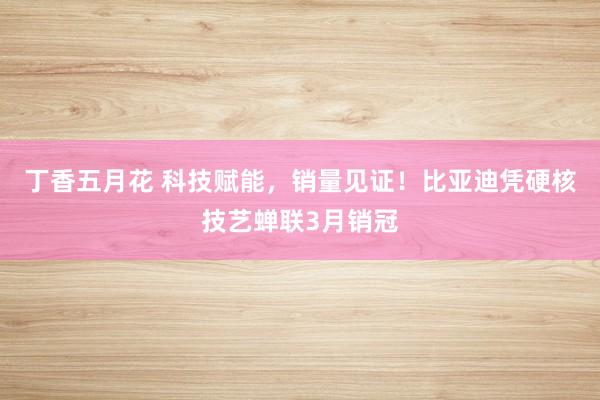 丁香五月花 科技赋能，销量见证！比亚迪凭硬核技艺蝉联3月销冠