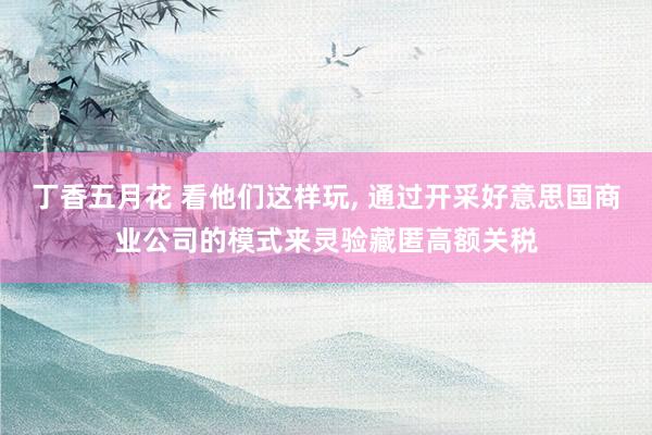 丁香五月花 看他们这样玩， 通过开采好意思国商业公司的模式来灵验藏匿高额关税
