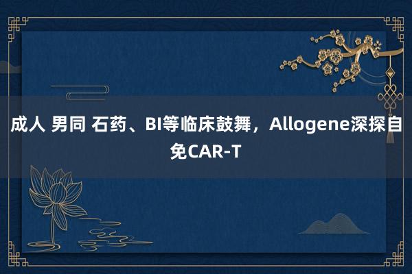 成人 男同 石药、BI等临床鼓舞，Allogene深探自免CAR-T