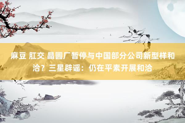 麻豆 肛交 晶圆厂暂停与中国部分公司新型样和洽？三星辟谣：仍在平素开展和洽
