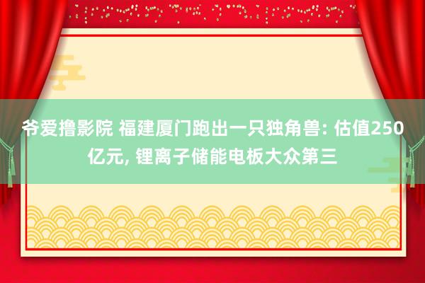 爷爱撸影院 福建厦门跑出一只独角兽: 估值250亿元， 锂离子储能电板大众第三