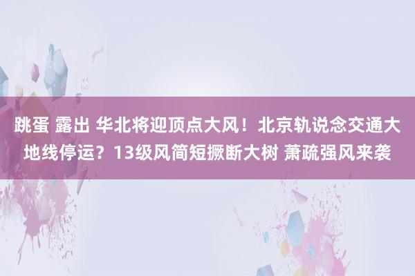 跳蛋 露出 华北将迎顶点大风！北京轨说念交通大地线停运？13级风简短撅断大树 萧疏强风来袭