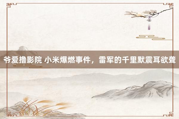 爷爱撸影院 小米爆燃事件，雷军的千里默震耳欲聋