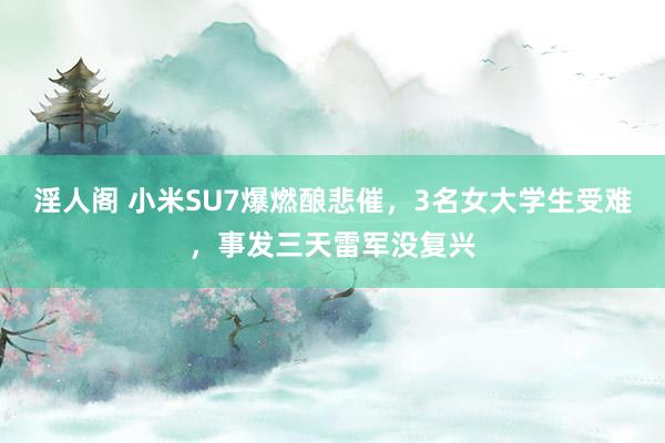 淫人阁 小米SU7爆燃酿悲催，3名女大学生受难，事发三天雷军没复兴