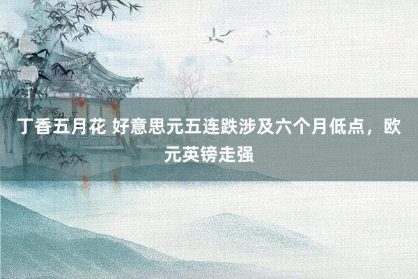 丁香五月花 好意思元五连跌涉及六个月低点，欧元英镑走强