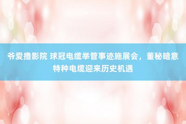 爷爱撸影院 球冠电缆举管事迹施展会，董秘暗意特种电缆迎来历史机遇