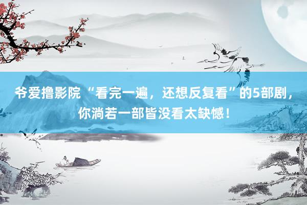 爷爱撸影院 “看完一遍，还想反复看”的5部剧，你淌若一部皆没看太缺憾！