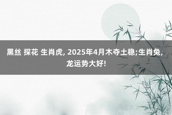 黑丝 探花 生肖虎， 2025年4月木夺土稳;生肖兔， 龙运势大好!