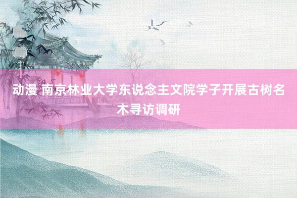 动漫 南京林业大学东说念主文院学子开展古树名木寻访调研