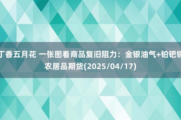 丁香五月花 一张图看商品复旧阻力：金银油气+铂钯铜农居品期货(2025/04/17)