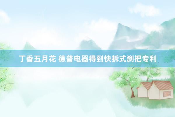 丁香五月花 德普电器得到快拆式刹把专利