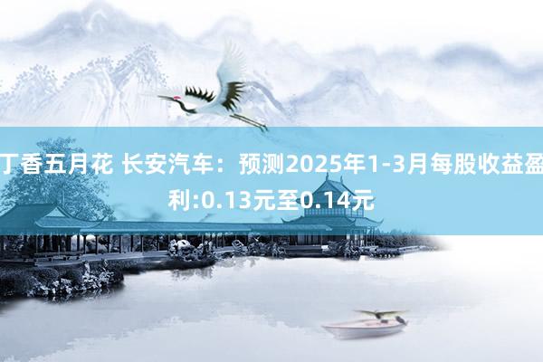 丁香五月花 长安汽车：预测2025年1-3月每股收益盈利:0.13元至0.14元