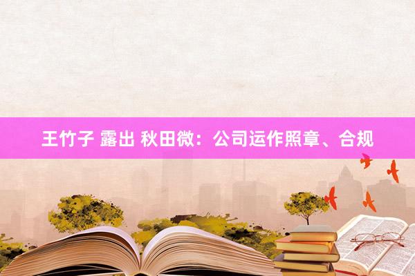 王竹子 露出 秋田微：公司运作照章、合规