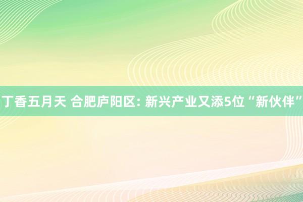 丁香五月天 合肥庐阳区: 新兴产业又添5位“新伙伴”