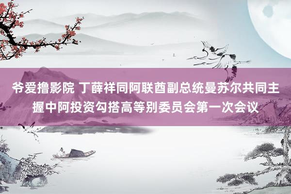 爷爱撸影院 丁薛祥同阿联酋副总统曼苏尔共同主握中阿投资勾搭高等别委员会第一次会议