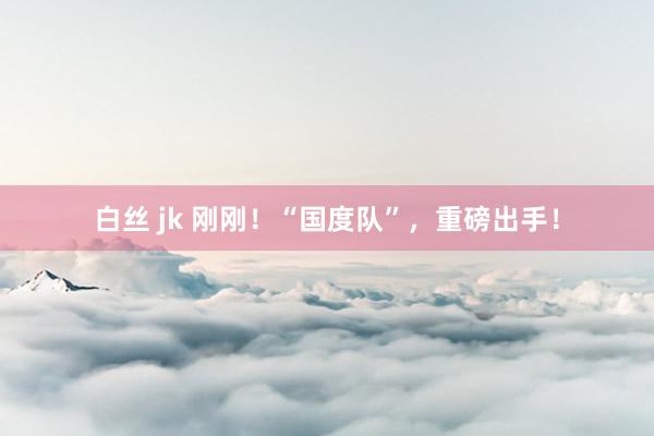 白丝 jk 刚刚！“国度队”，重磅出手！